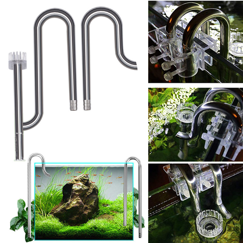 Aquarium Fish Images - Mới Cá Lily Ống Thép Không