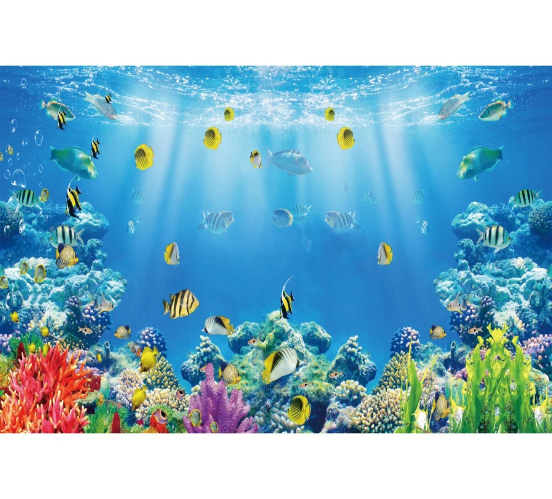 Underwater World Fish Coral Aq - đánh giá và giá Aquarium Fish World