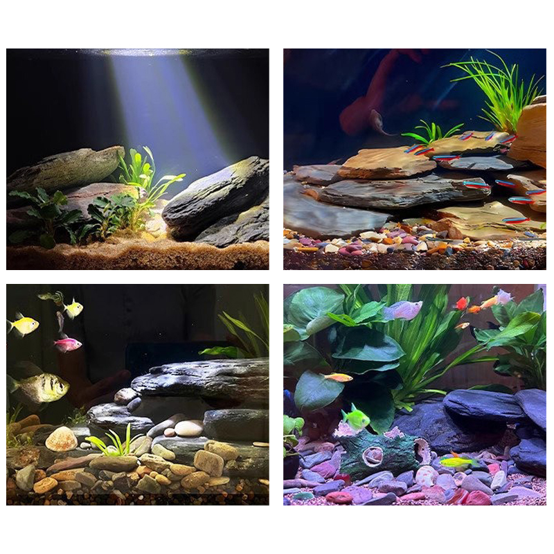 500/1000g Fish Tank Landscape  - đánh giá và giá Aquarium Fish Saltwater
