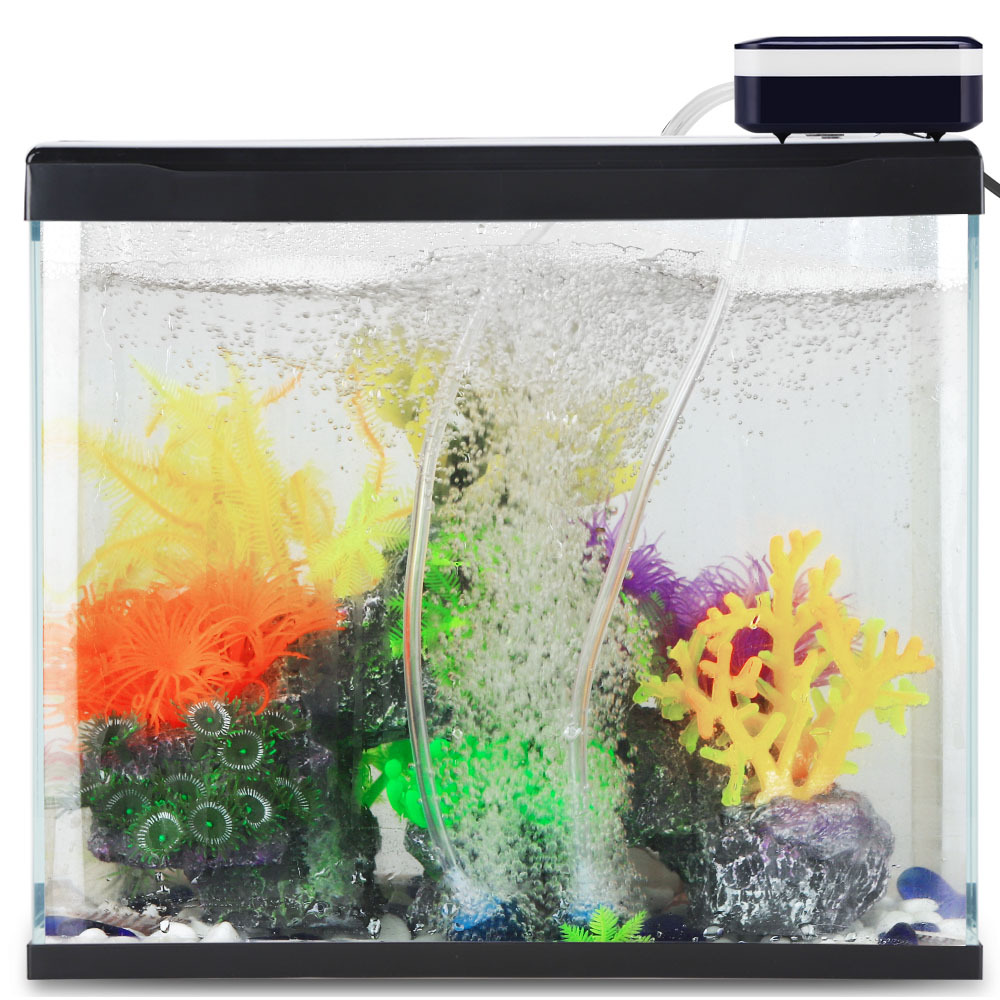 SOBO USB Charging Aquarium Oxy - đánh giá và giá Wild Aquarium Fish