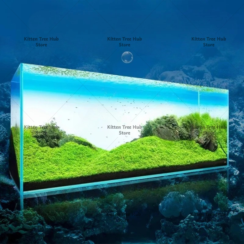 Fish Tank Background Board LED - đánh giá và giá Aquarium Fish Rainbow
