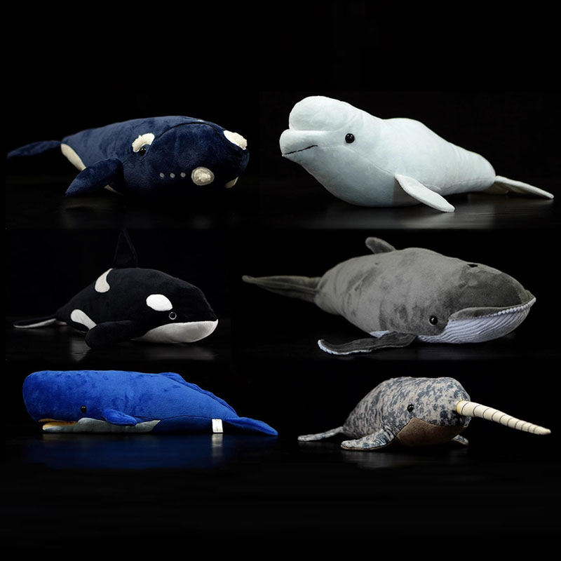 Simulated Animal Killer Baleen - đánh giá và giá Wild Aquarium Fish