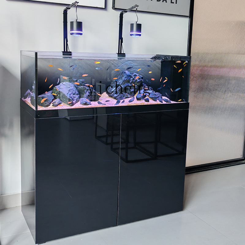 U1  native wild stream tank Sa - đánh giá và giá Wild Aquarium Fish