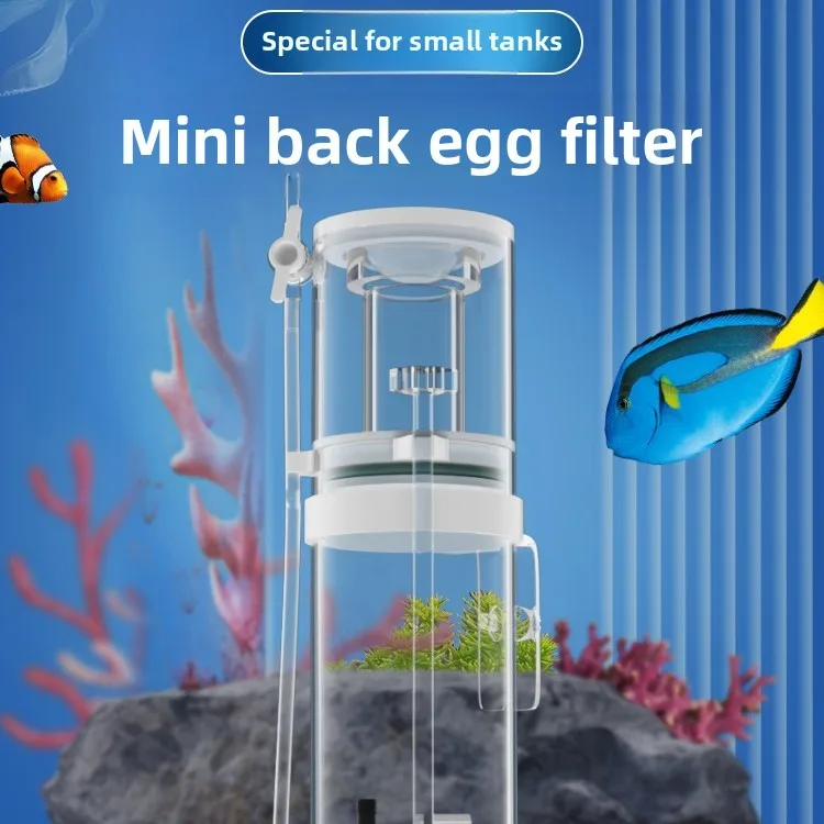 110V-240V New Mini Aquarium Pr - đánh giá và giá Protein Skimmer Reef