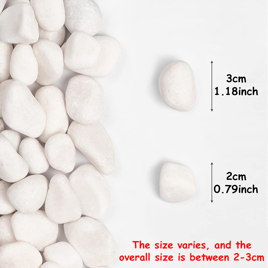 200/400g White High Polished N - đánh giá và giá Aquarium Fish Saltwater