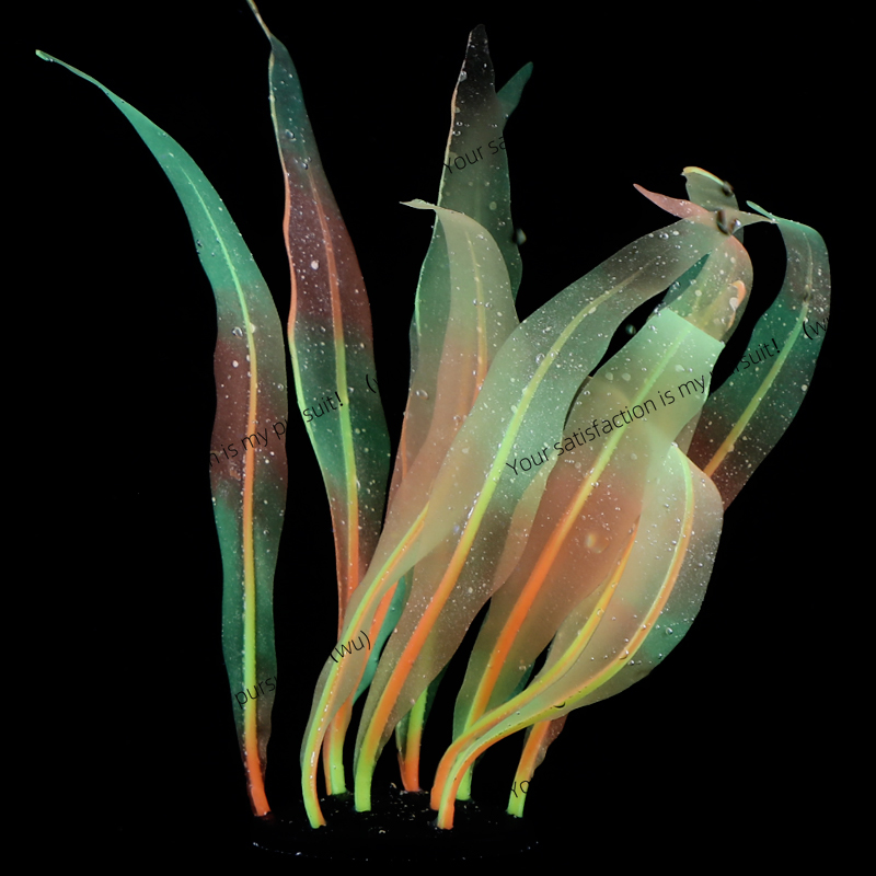 Simulated Kelp Plant Decoratio - đánh giá và giá Aquarium Fish World