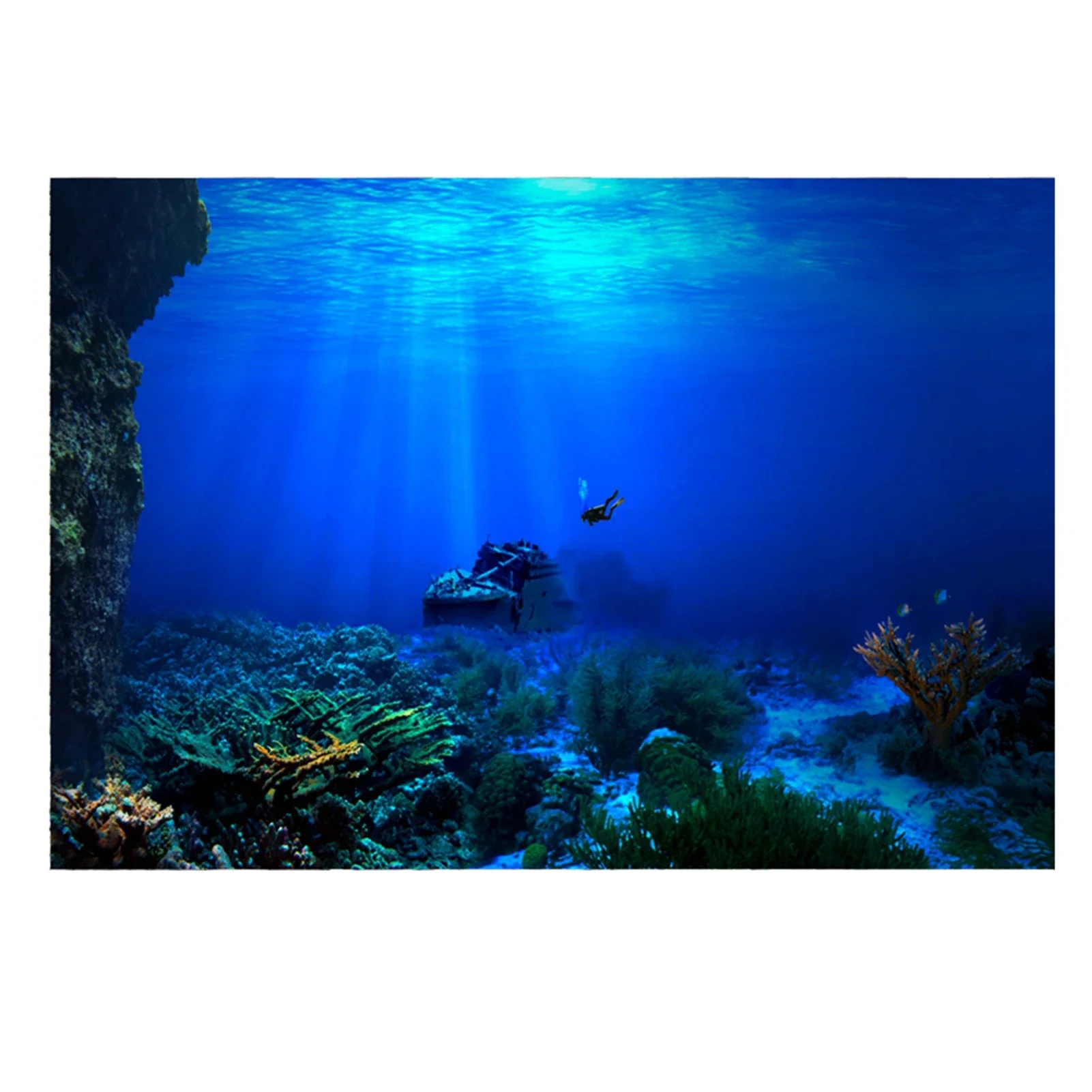Rainforest Aquarium Background - đánh giá và giá Aquarium Fish World