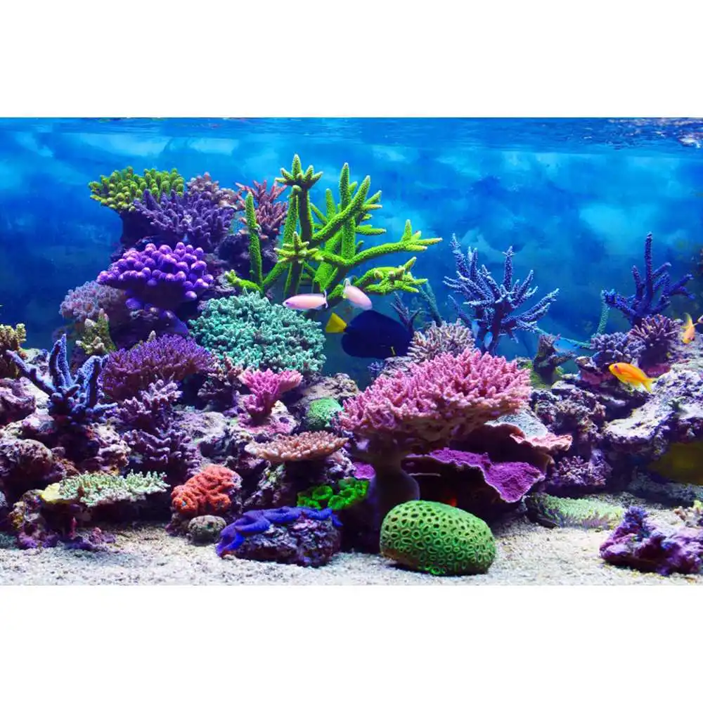 Underwater World Seabed Backdr - đánh giá và giá Aquarium Fish World