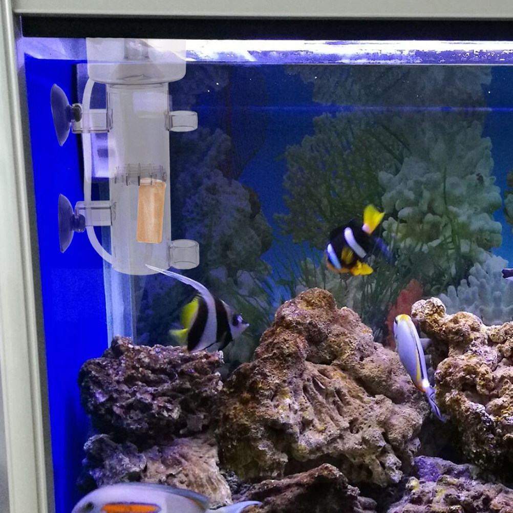 Protein Skimmer Acrylic Aquari - đánh giá và giá Aquarium Fish Saltwater
