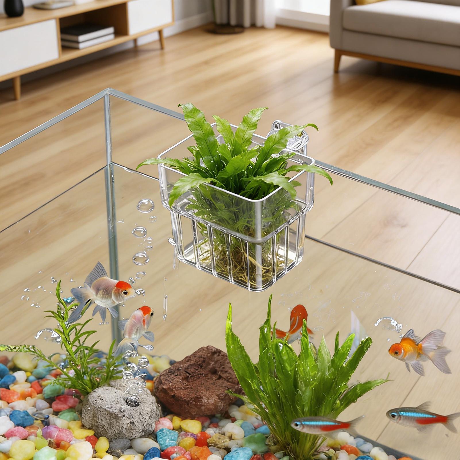 Transparent Hangable Aquarium  - đánh giá và giá Aquarium Fish Pot