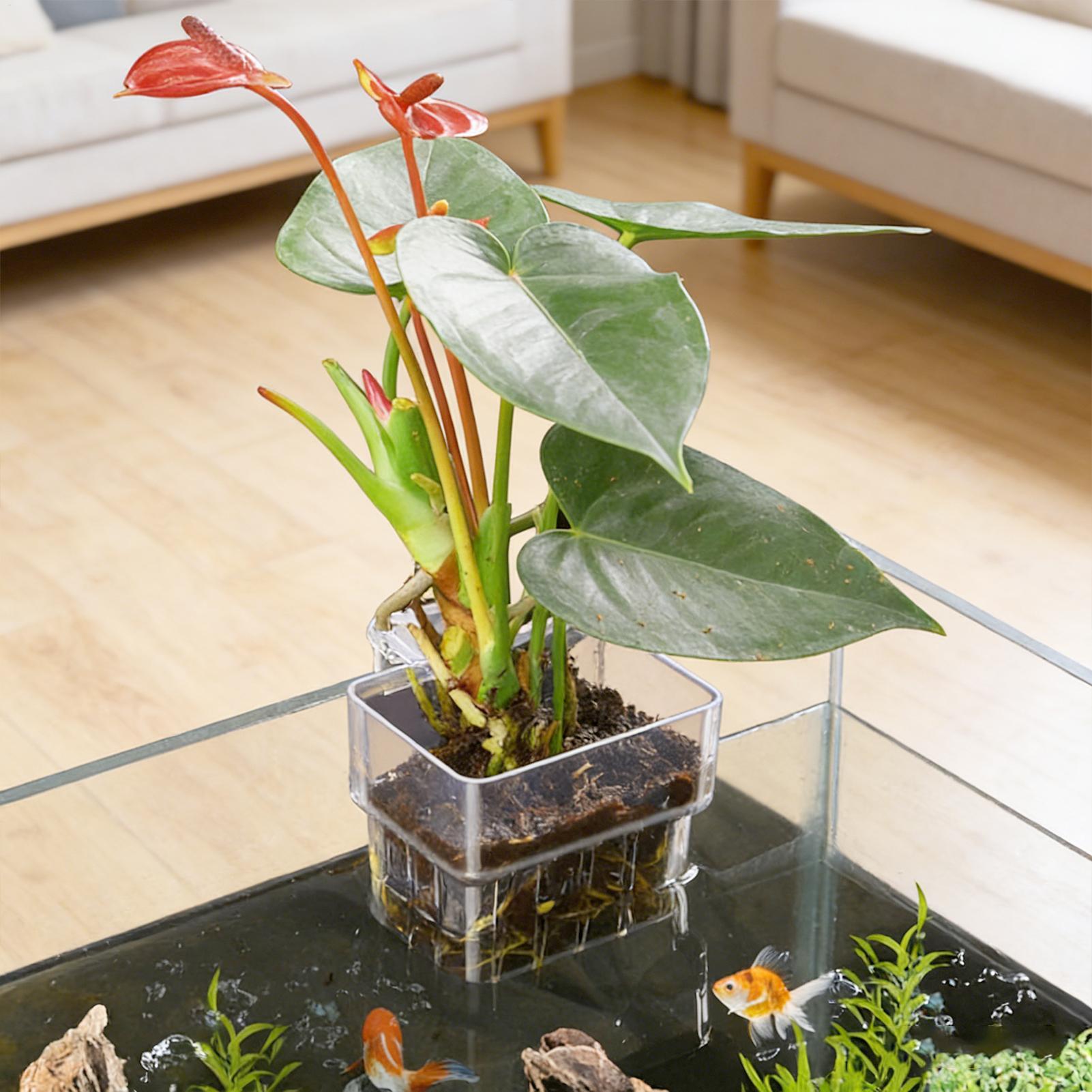 Transparent Hangable Aquarium  - đánh giá và giá Aquarium Fish Pot