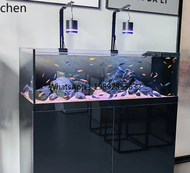Stream Tank Native Wild Collec - đánh giá và giá Wild Aquarium Fish