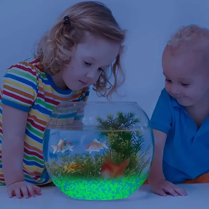 1000pcs 3-5mm Luminous Sand Gl - đánh giá và giá Aquarium Fish Saltwater