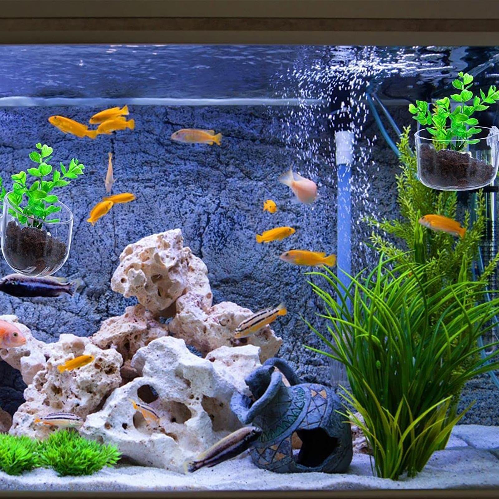 Aquatic Plant Pot Clear Acryli - đánh giá và giá Aquarium Fish Pot