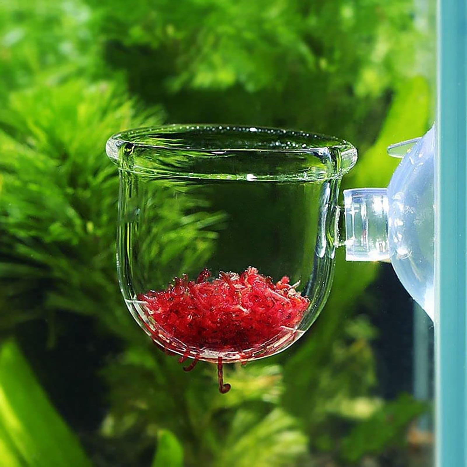 Aquatic Plant Pot Clear Acryli - đánh giá và giá Aquarium Fish Pot