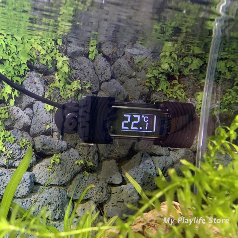 Hồ Cá Nhiệt Kế Kỹ Thuật Số Chì - đánh giá và giá Aquarium Fish Freshwater