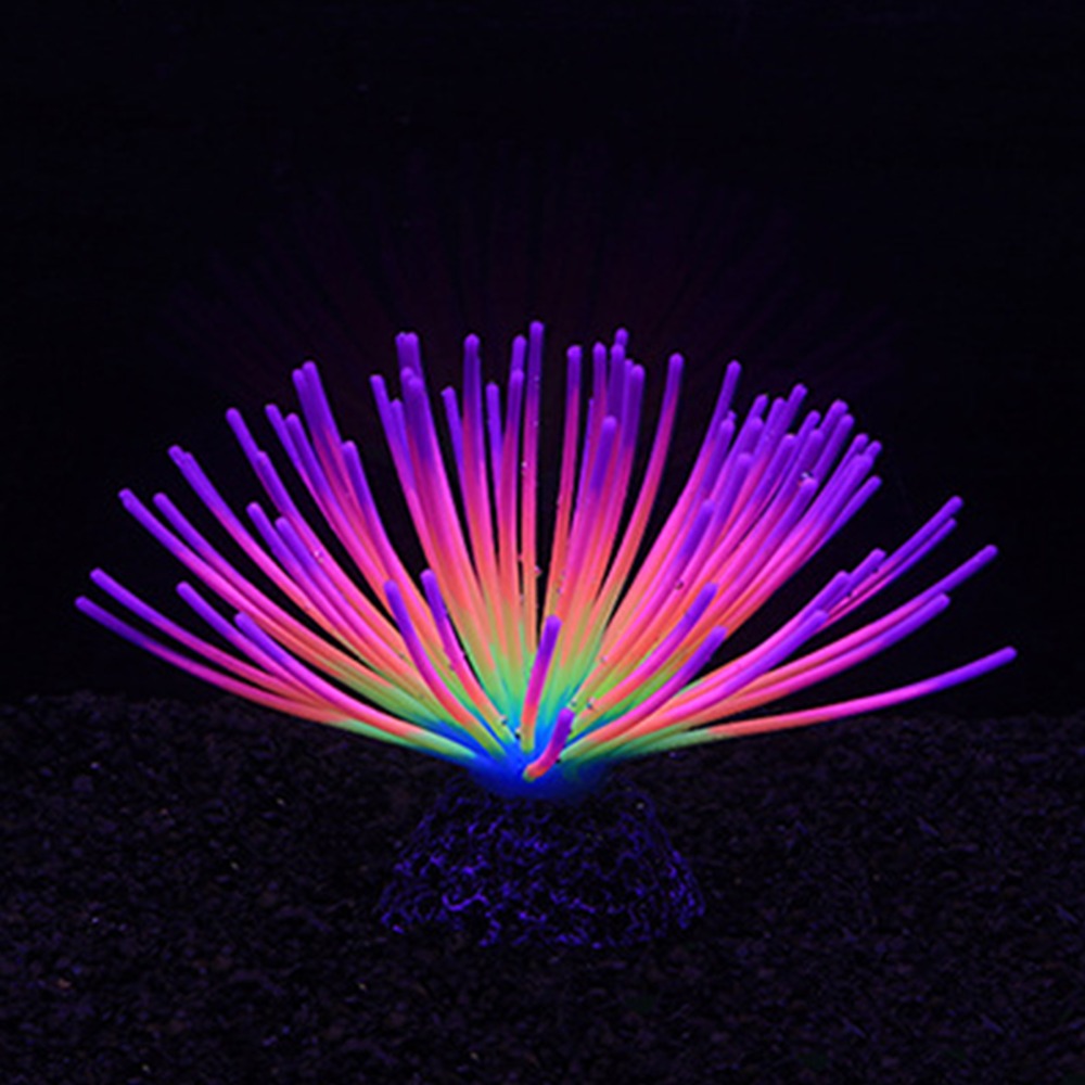 Colorful Aquarium Silicone Cor - đánh giá và giá Aquarium Fish Rainbow