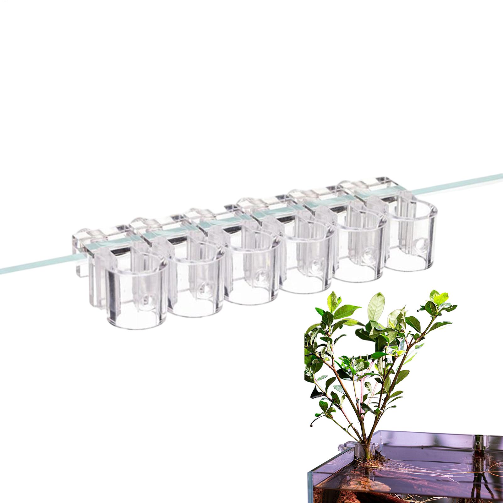 Aquarium Plant Basket Transpar - đánh giá và giá Aquarium Fish Pot
