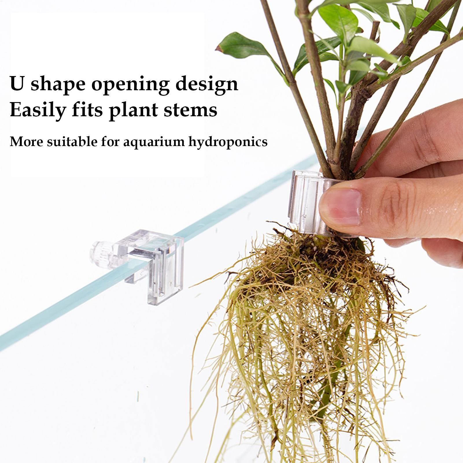 Aquarium Plant Basket Transpar - đánh giá và giá Aquarium Fish Pot