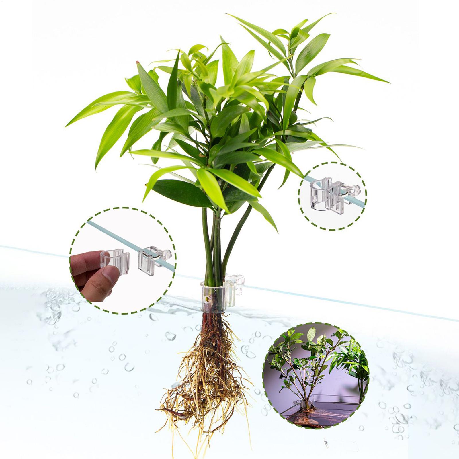 Aquarium Plant Basket Transpar - đánh giá và giá Aquarium Fish Pot