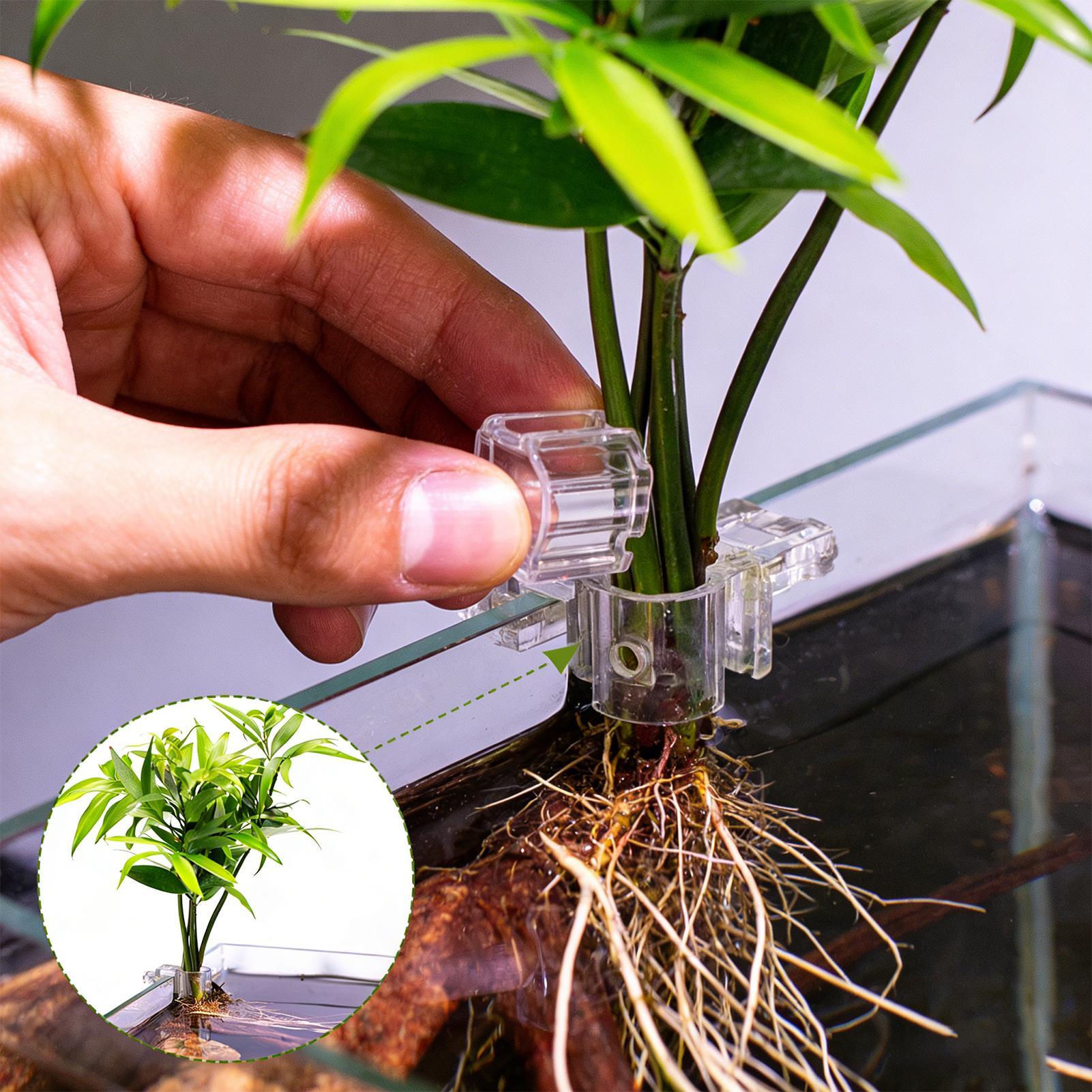 Aquarium Plant Basket Transpar - đánh giá và giá Aquarium Fish Pot