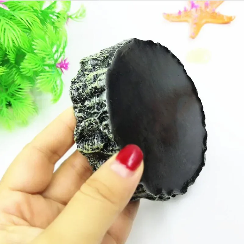 Thú Cưng Động Vật Bò Sát Ăn Bá - đánh giá và giá Aquarium Fish Pot