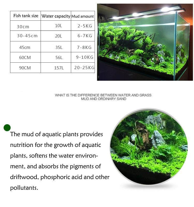 Bể Cá Cảnh Vật Có Hạt Đất Fish - đánh giá và giá Aquarium Fish Freshwater
