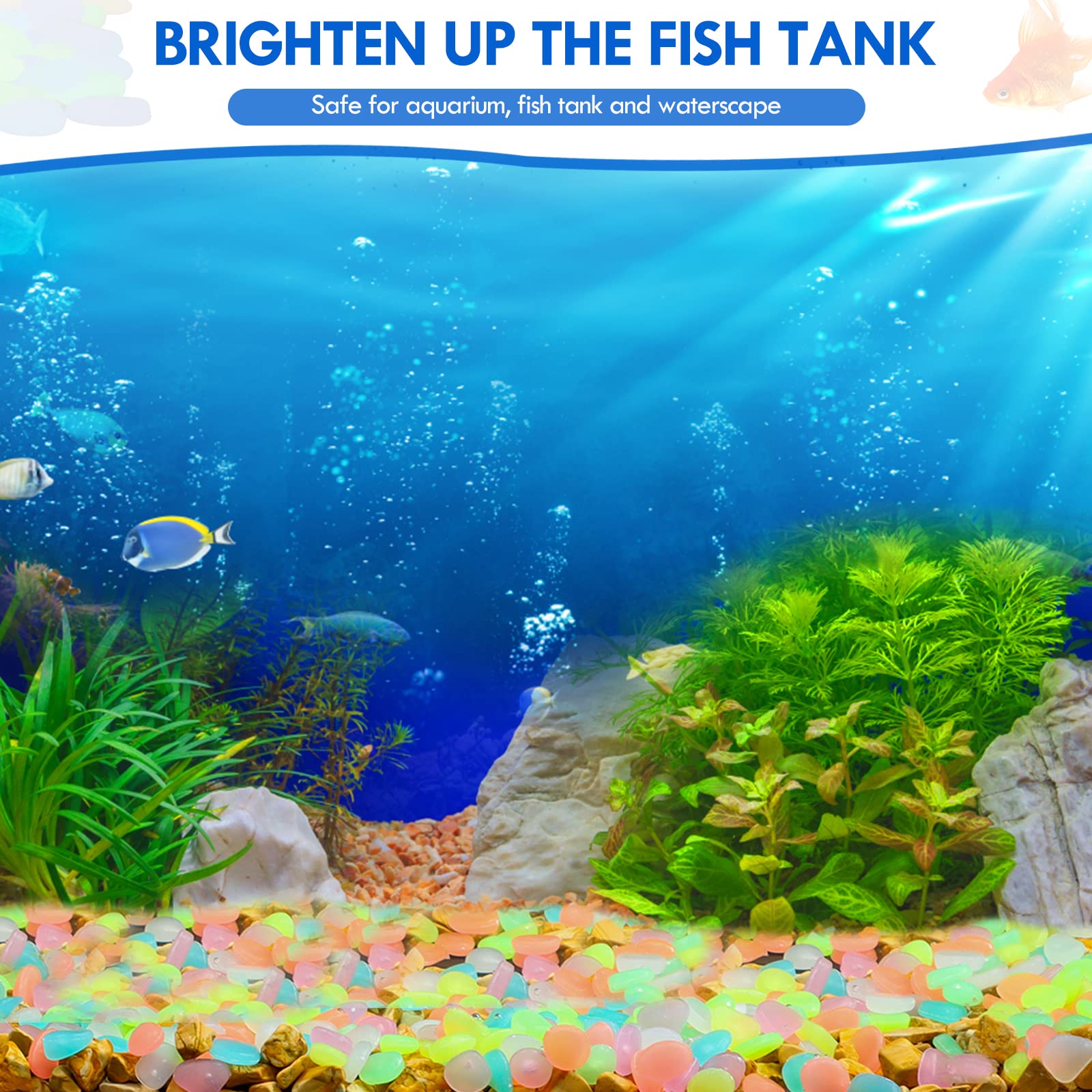 100Pcs Glow in the Dark Garden - đánh giá và giá Aquarium Fish Saltwater