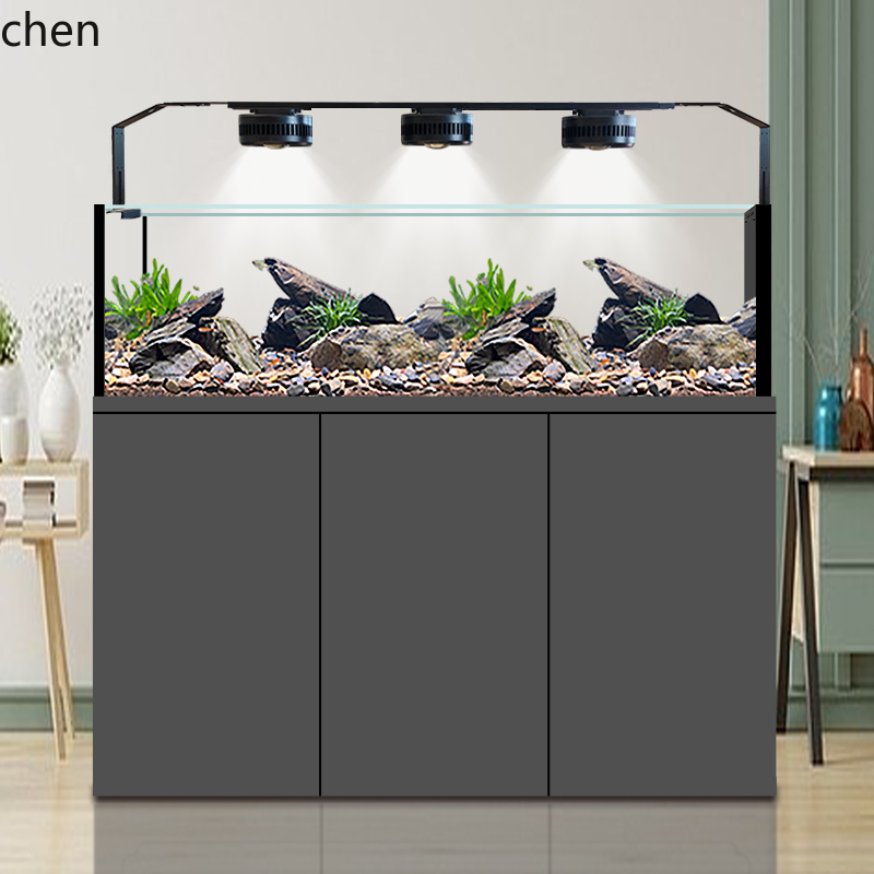 CZ Fish Tank Native Wild Colle - đánh giá và giá Wild Aquarium Fish