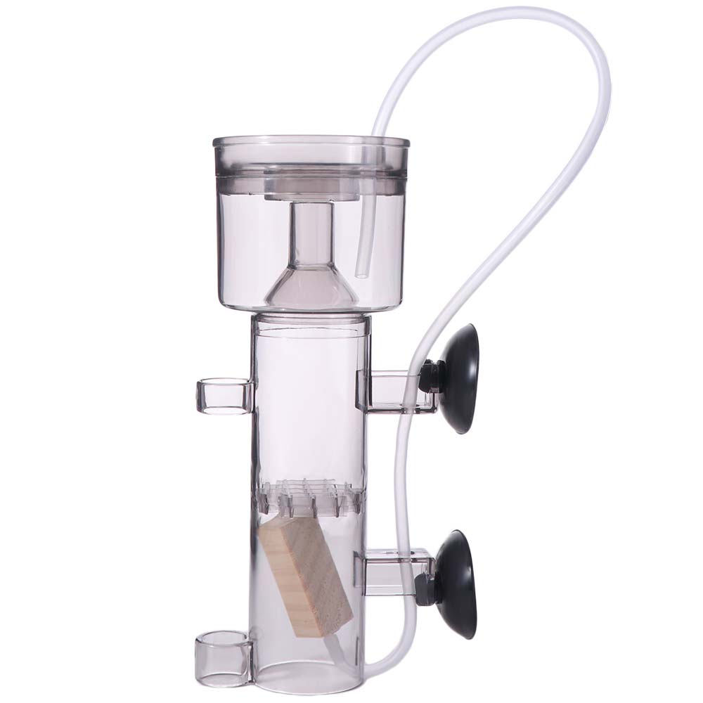 Suction Cup Aquarium Protein S - đánh giá và giá Protein Skimmer Reef
