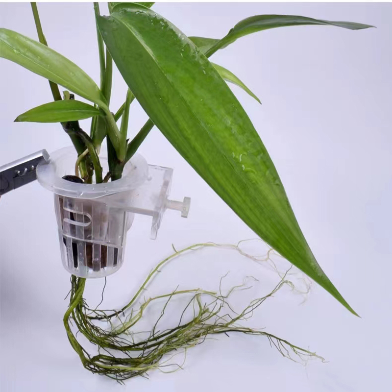 Aquarium Planting Basket Hydro - đánh giá và giá Aquarium Fish Pot