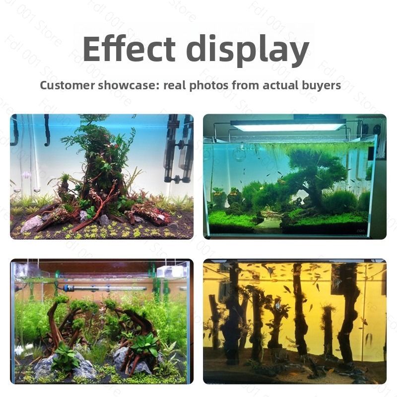 Fish Tank Background Board LED - đánh giá và giá Aquarium Fish Rainbow